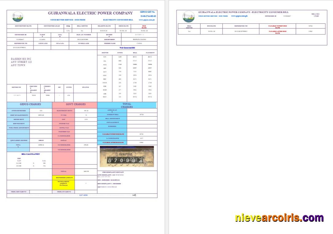 PAKISTAN GUJRANWALA ELECTRICPOWER business utility bill