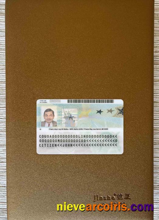 USA green card permanent resident card 2020 – present photolook